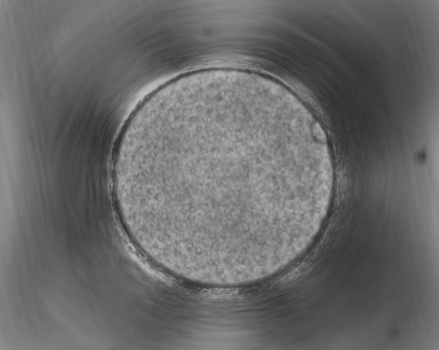 X0000114660846200912011133