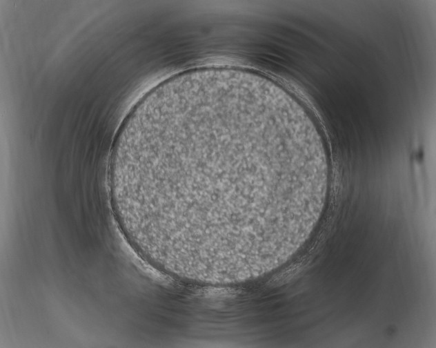 X0000114660847200912011133