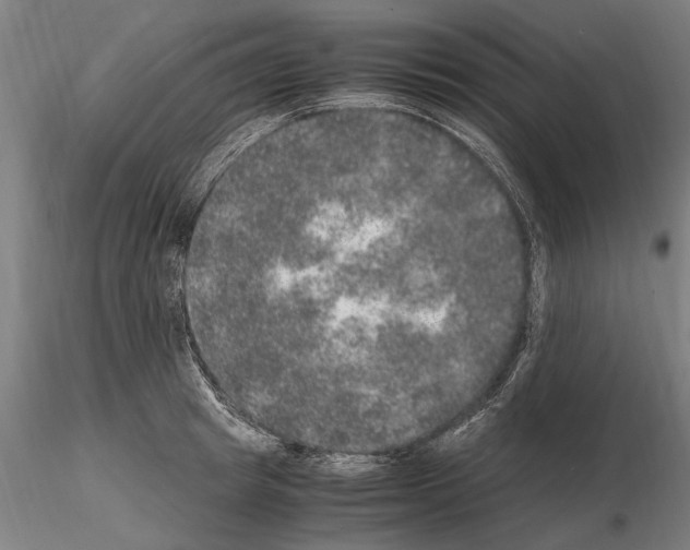 X0000114660849200912011133