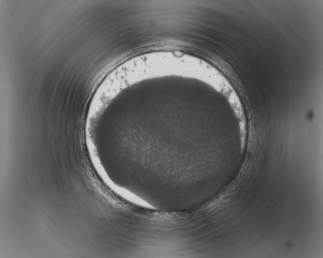 X0000114660850200912011133