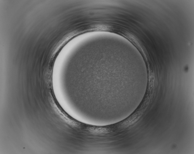 X0000114660851200912011133