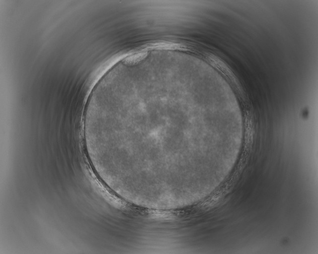 X0000114660852200912011133