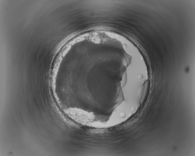 X0000114660853200912011133