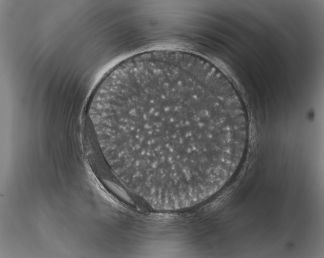 X0000114660854200912011133