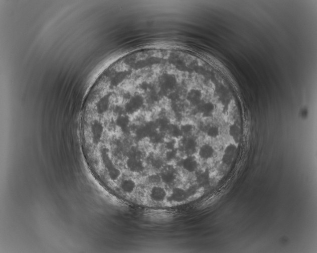 X0000114660855200912011133