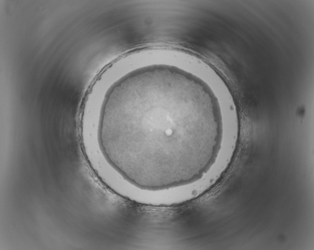 X0000114660856200912011133