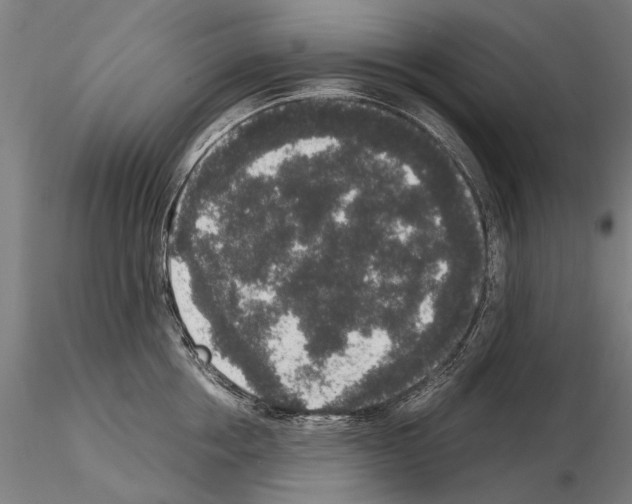 X0000114660858200912011133