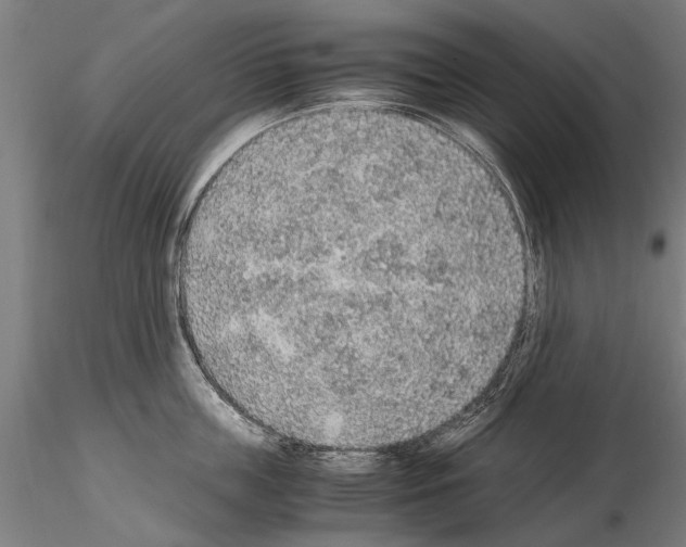 X0000114660859200912011133