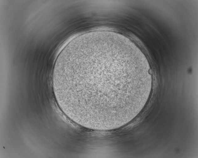 X0000114660860200912011133