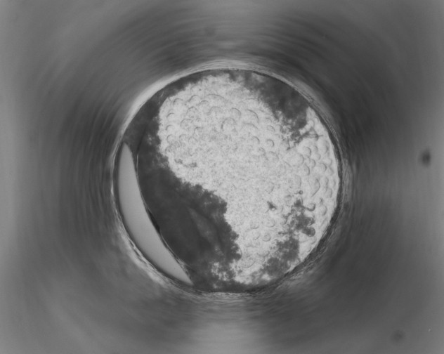 X0000114660862200912011133