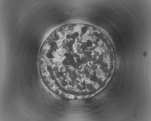 X0000114660863200912011133