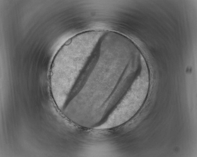 X0000114660864200912011133