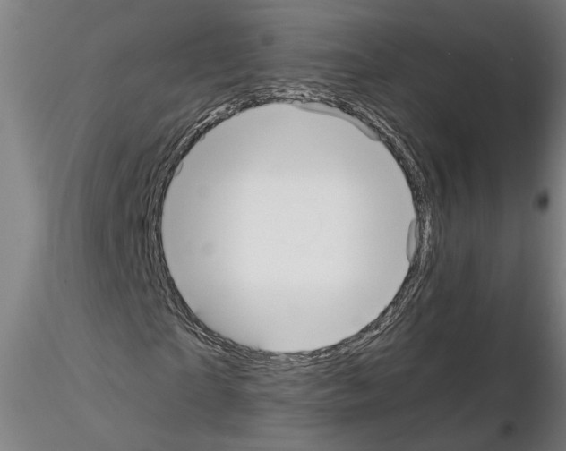 X0000114660865200912011133