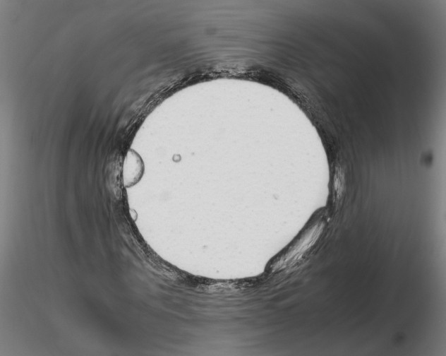 X0000114660867200912011132