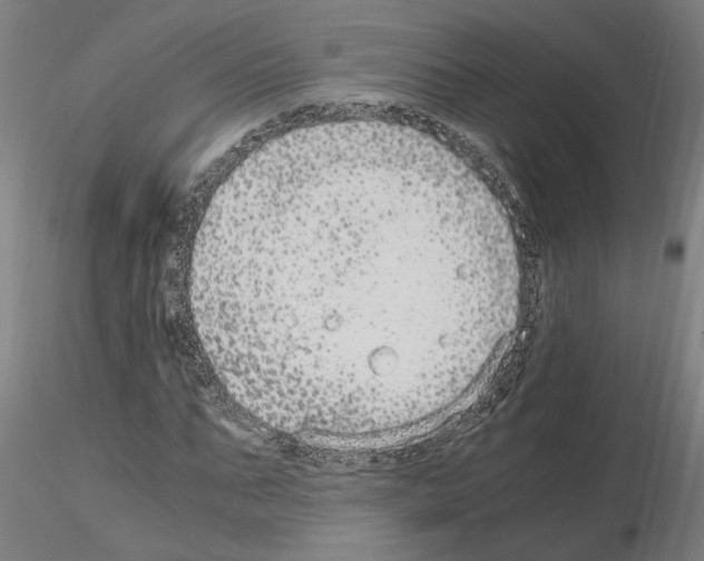 X0000114660871200912011132