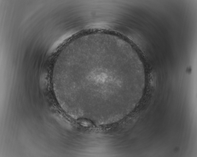 X0000114660872200912011132