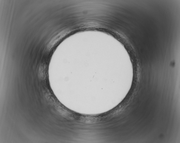 X0000114660873200912011132