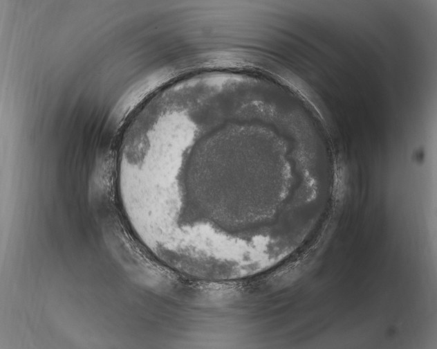 X0000114660874200912011132