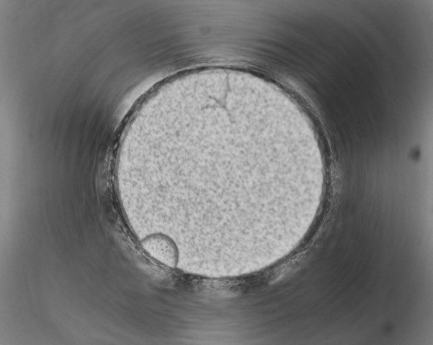 X0000114660875200912011132