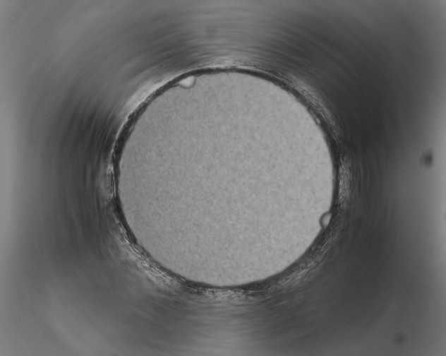 X0000114660876200912011132