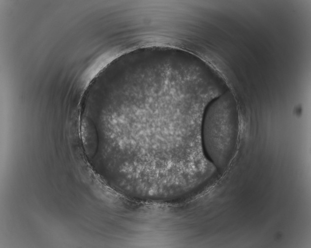 X0000114660877200912011132