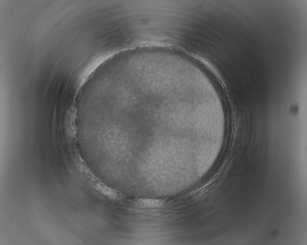 X0000114660878200912011132