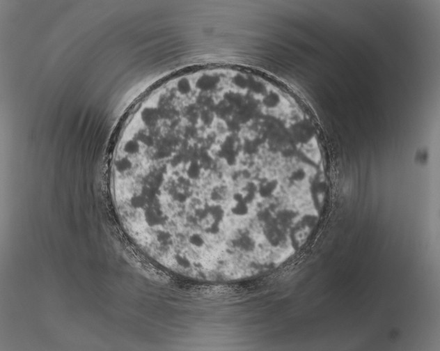 X0000114660879200912011132