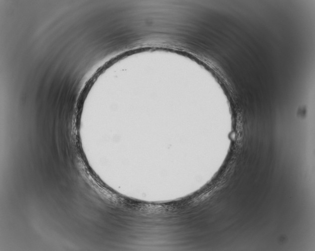 X0000114660880200912011132