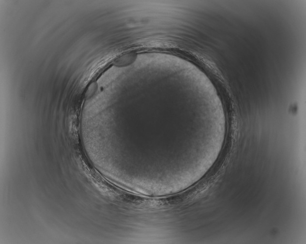 X0000114660881200912011132