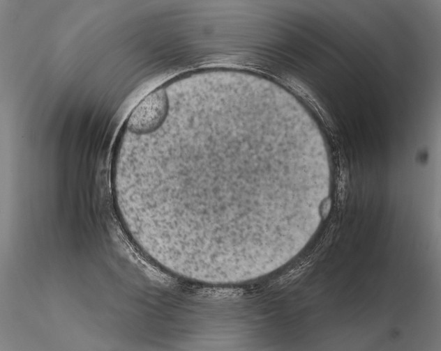 X0000114660884200912011132