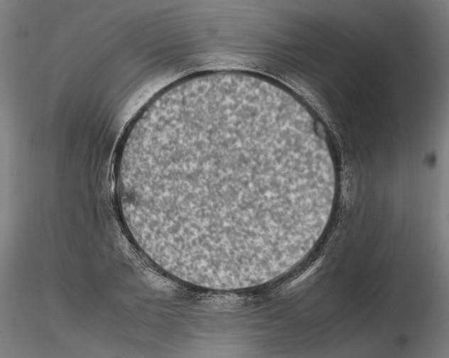 X0000114660885200912011132