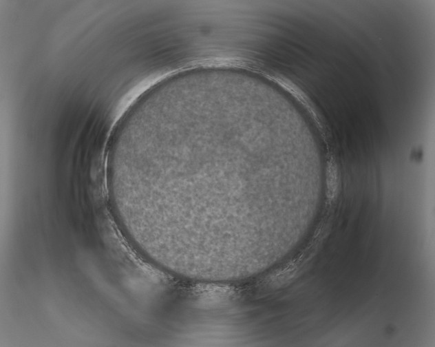 X0000114660886200912011132