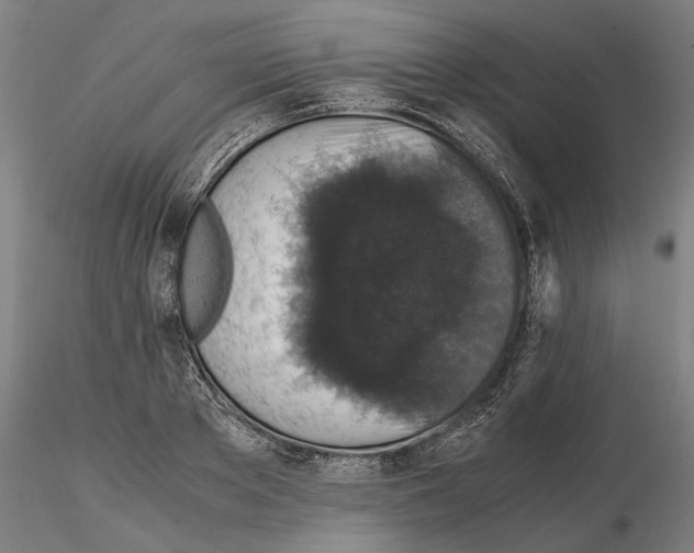 X0000114660889200912011132