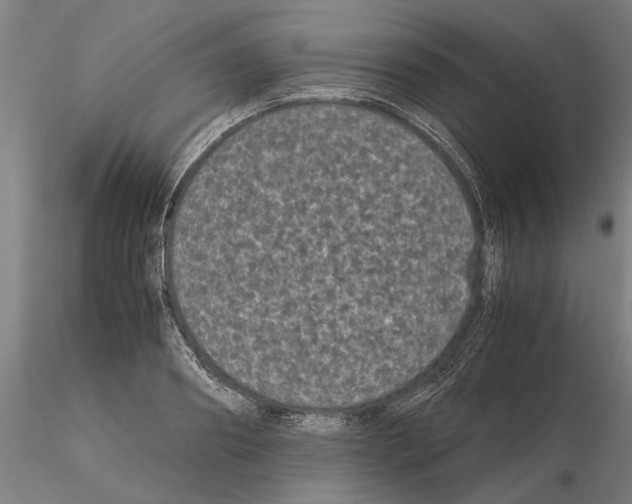 X0000114660890200912011132