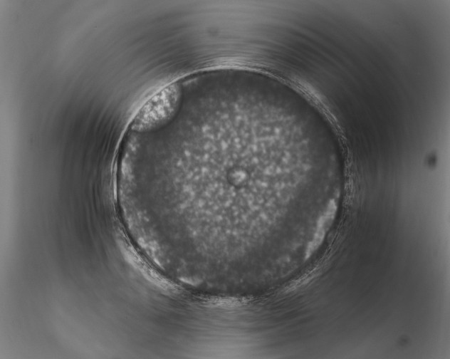 X0000114660892200912011132