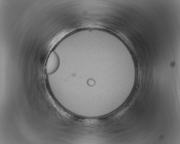 X0000114660893200912011132