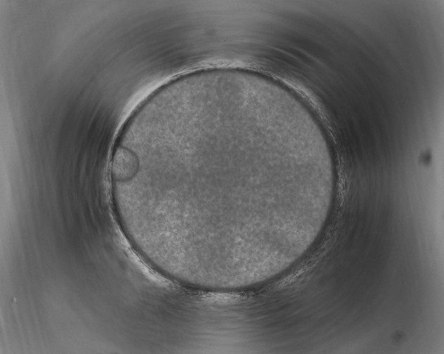 X0000114660894200912011132