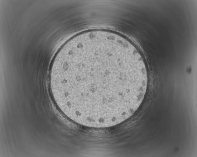 X0000114660895200912011132