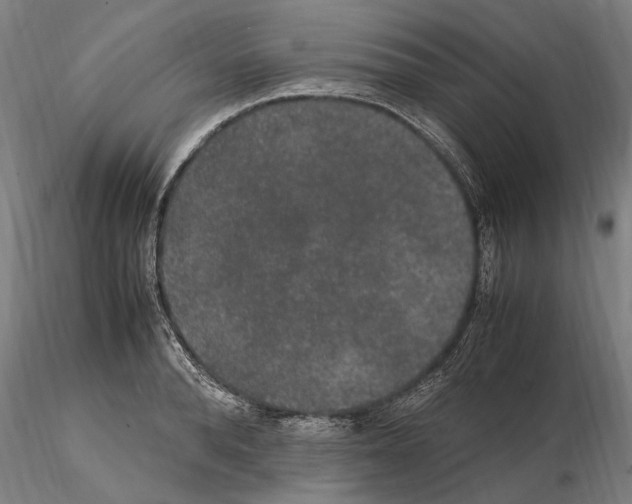 X0000114660896200912011132