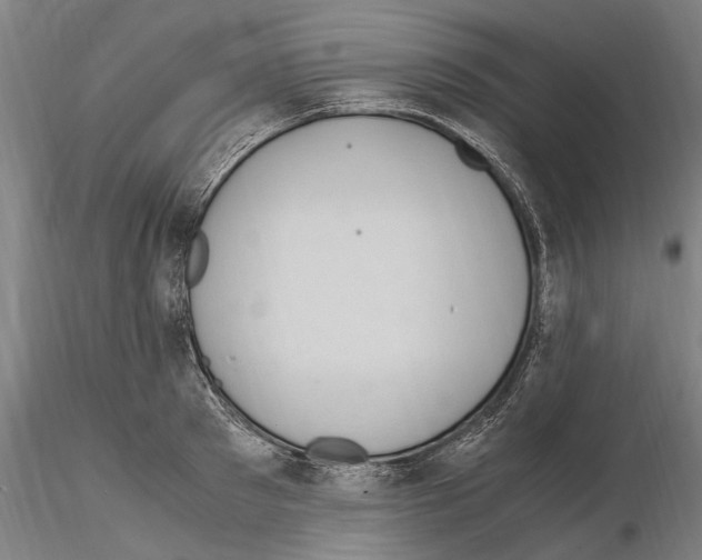 X0000114660897200912011132