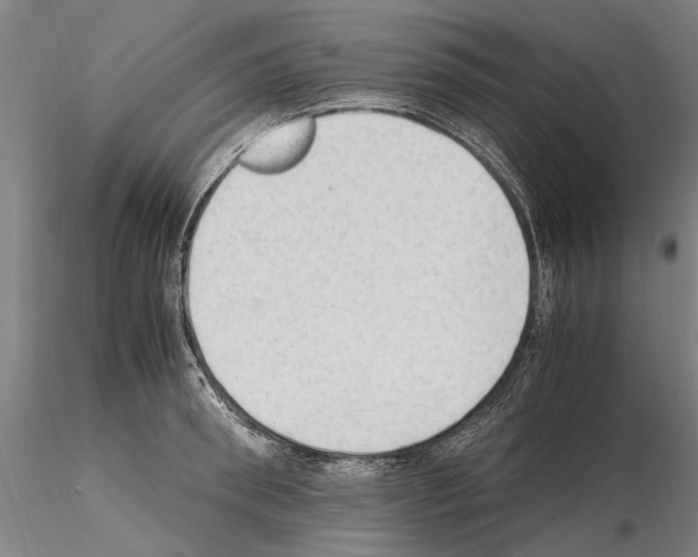 X0000114660898200912011132