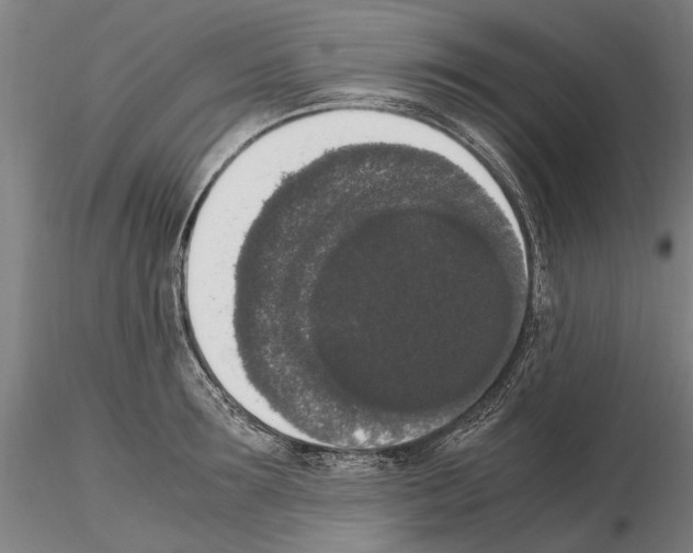 X0000114660899200912011132