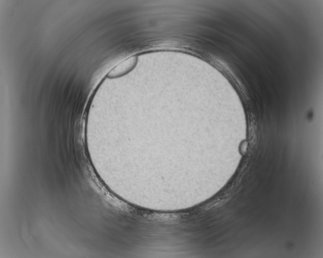 X0000114660900200912011132