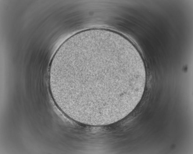 X0000114660903200912011132