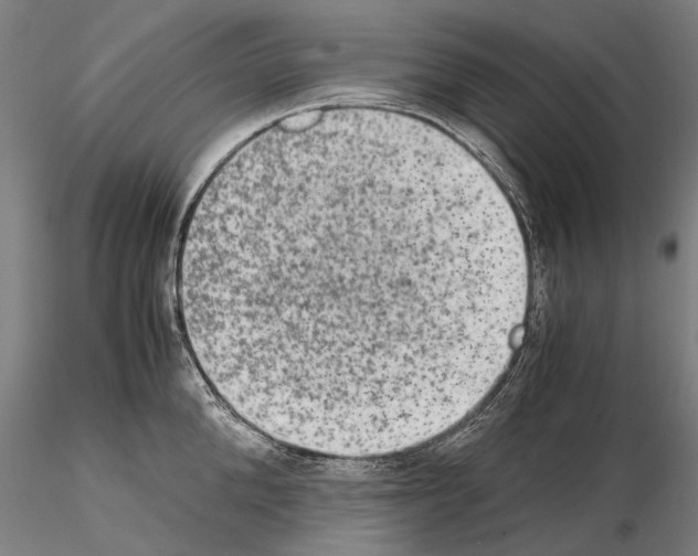 X0000114660904200912011132