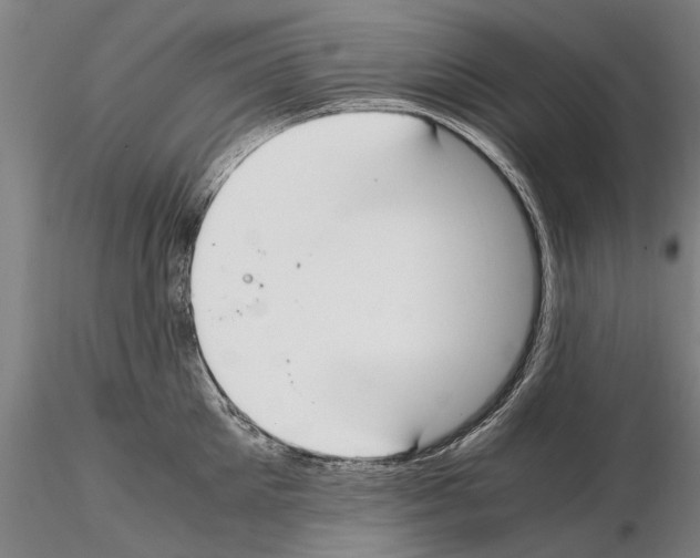 X0000114660905200912011132