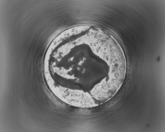 X0000114660907200912011132