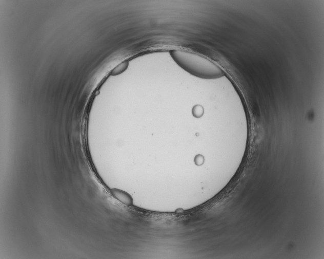 X0000114660909200912011132