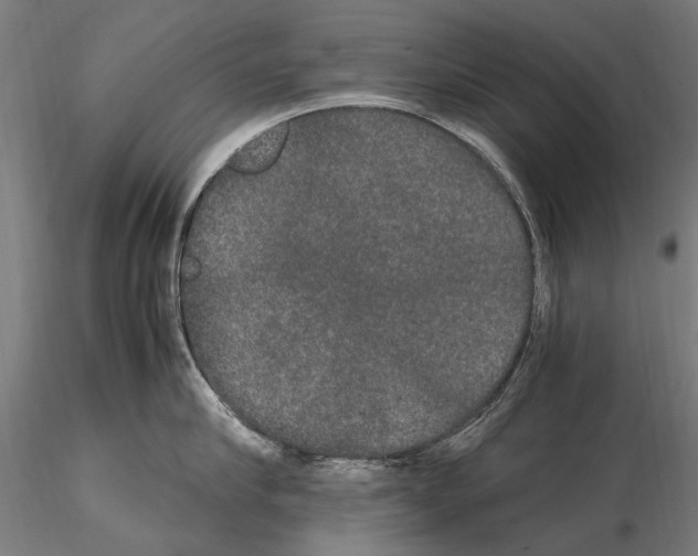 X0000114660910200912011132