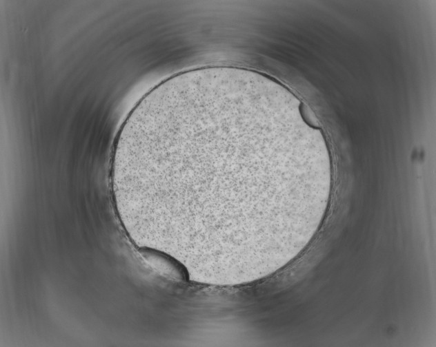 X0000114660912200912011132